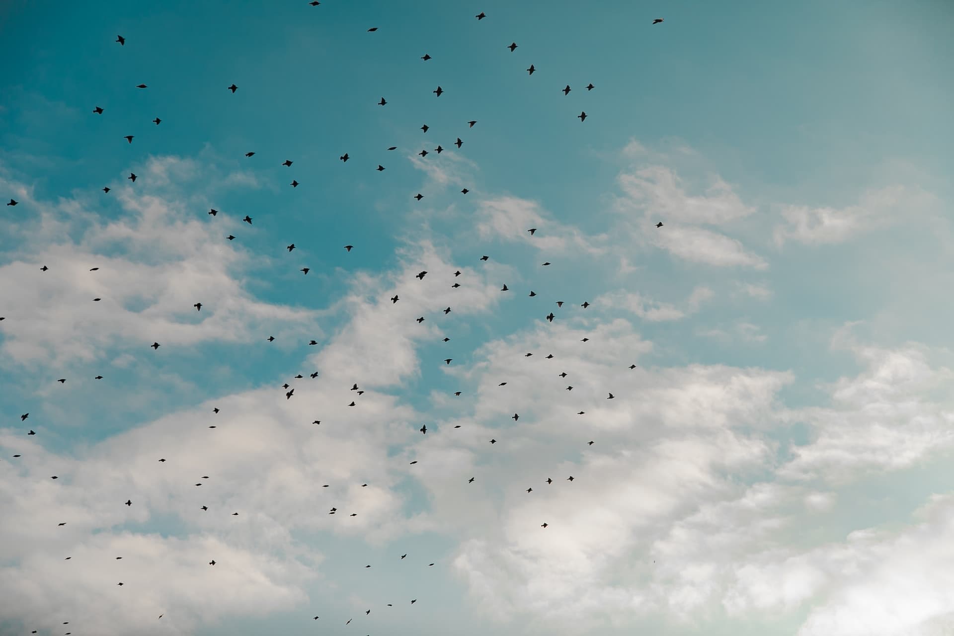 What are three dots (...) or spread operators in React